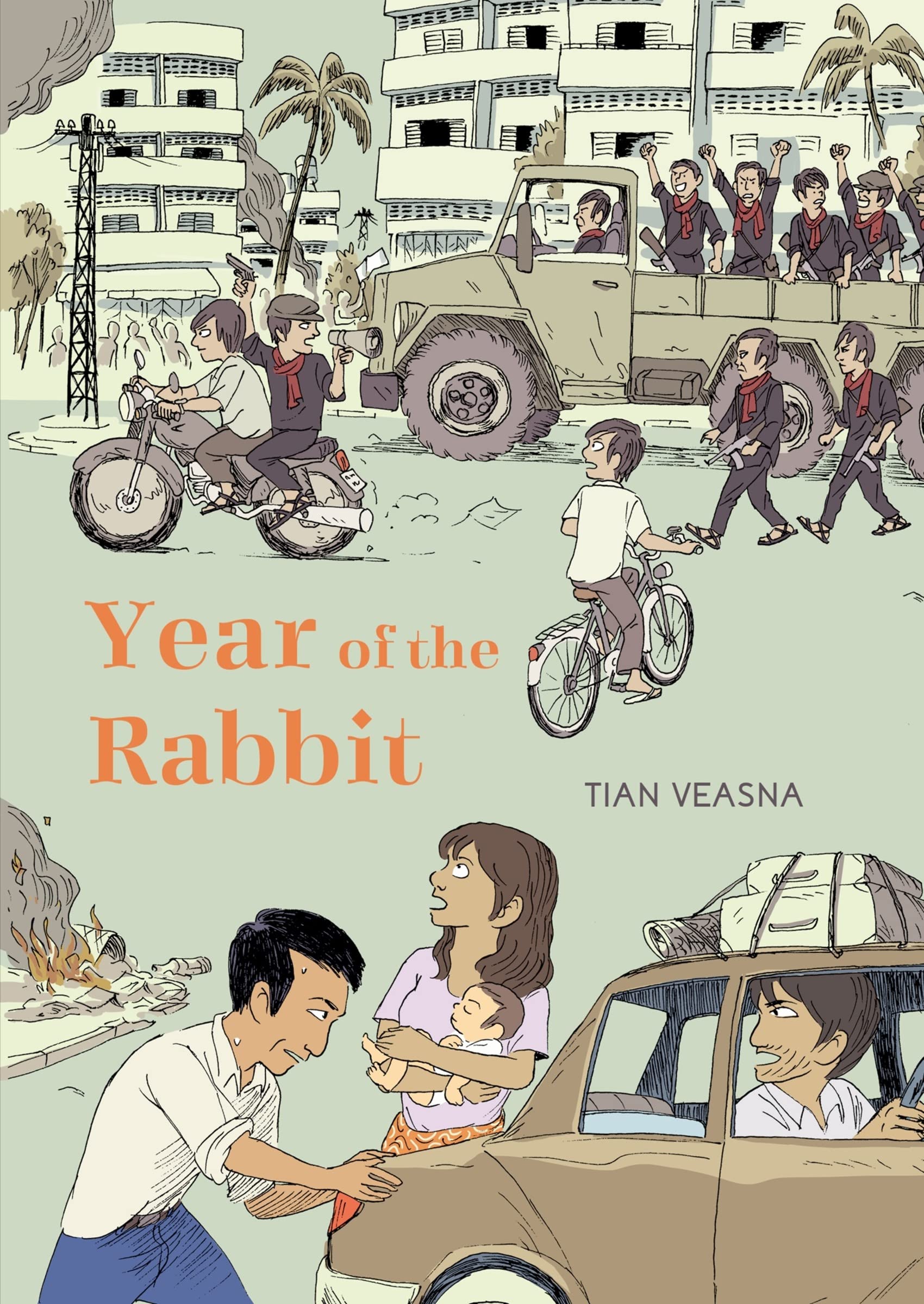 Year of the Rabbit book cover