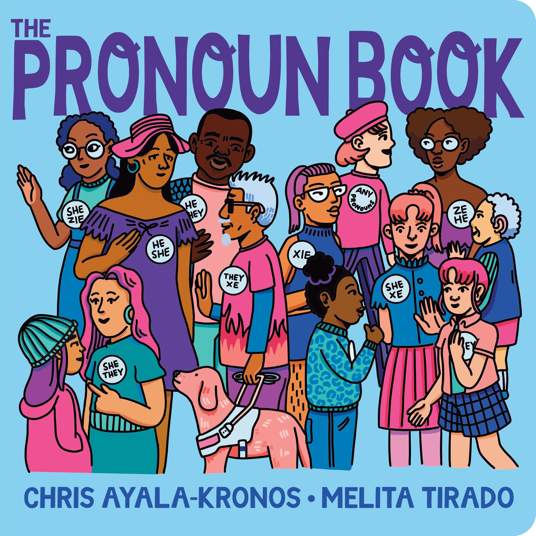 The Pronoun Book book cover