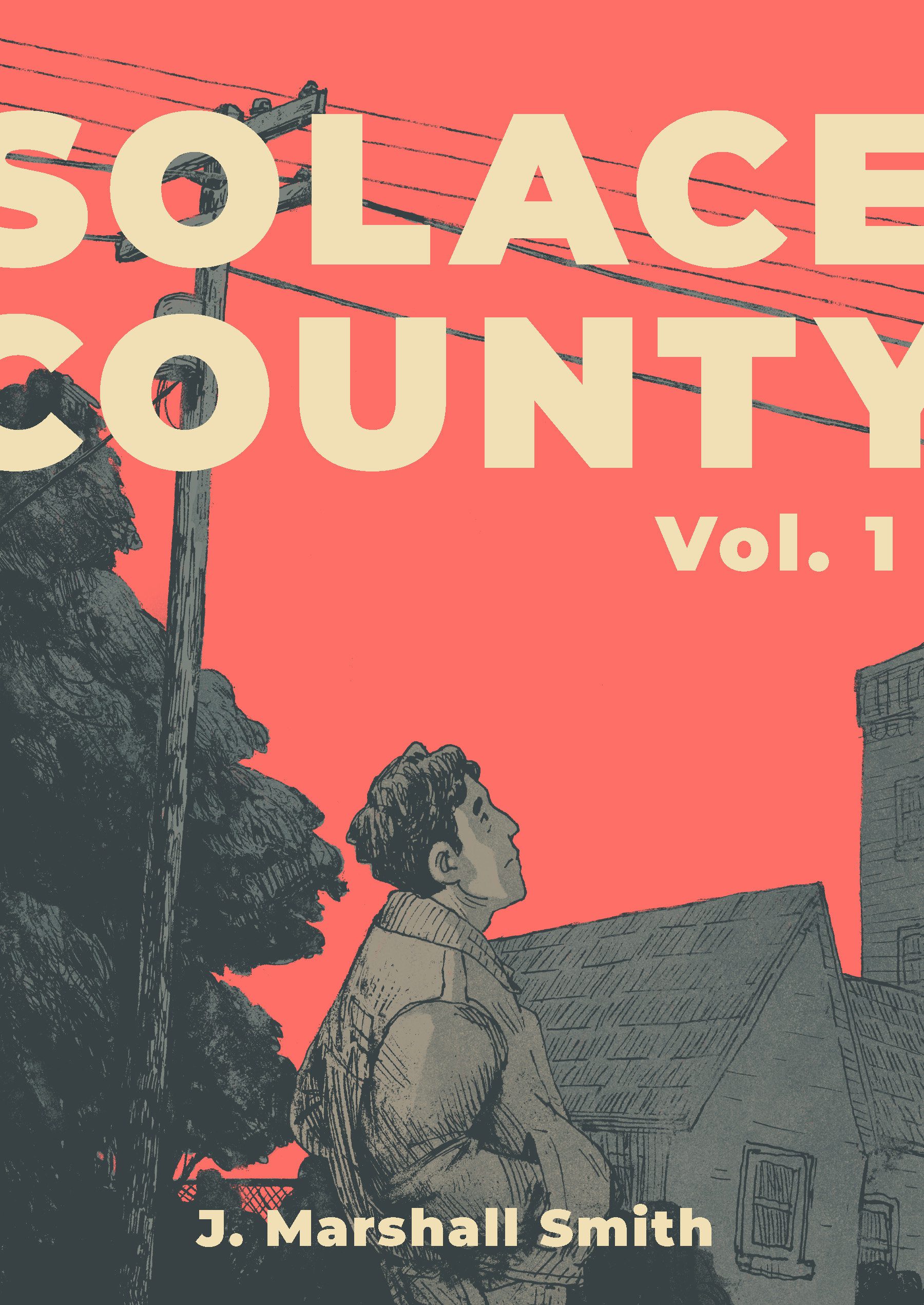 Solace County book cover