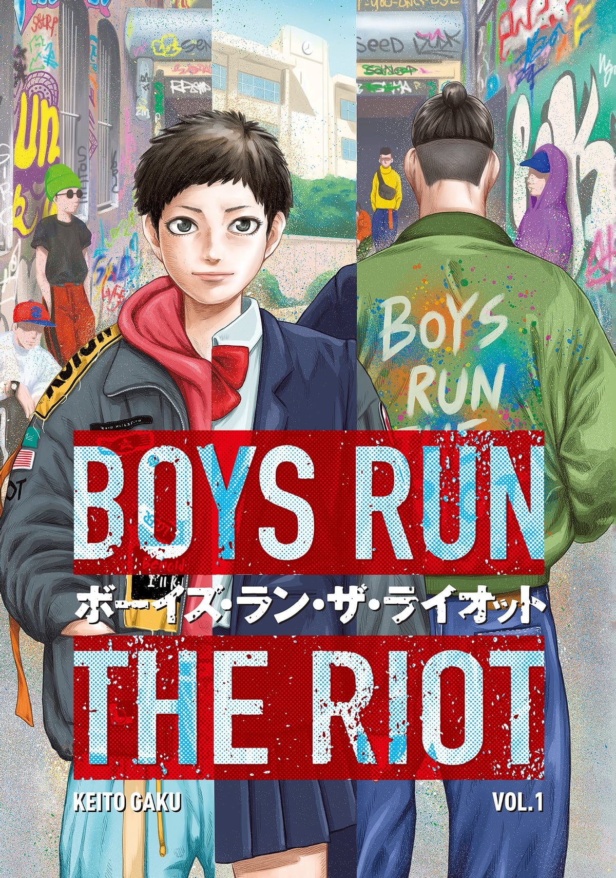 Boys Run the Riot book cover