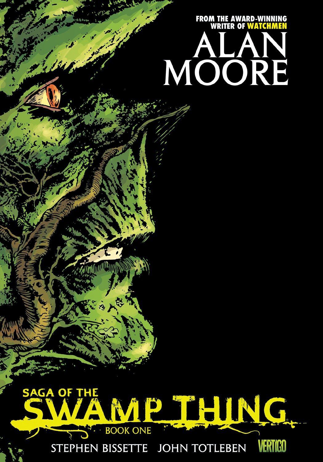 Saga of the Swamp Thing book 1 book cover